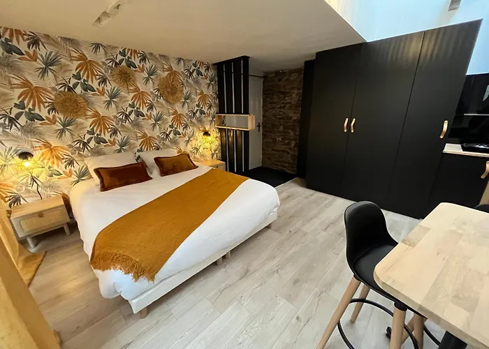 Le Rouzic - Studio Appart Hotel